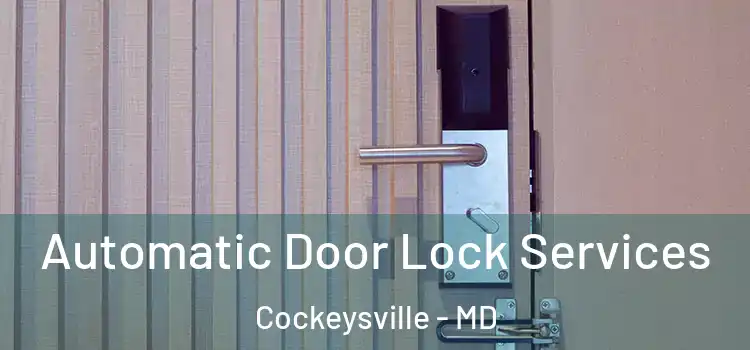 Automatic Door Lock Services Cockeysville - MD