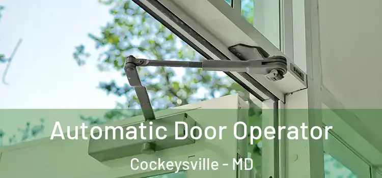 Automatic Door Operator Cockeysville - MD