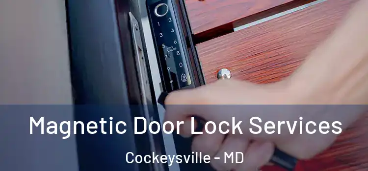 Magnetic Door Lock Services Cockeysville - MD